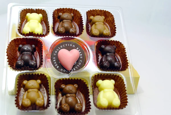 Baby  Bear Chocolate on white plate — Stock Photo, Image