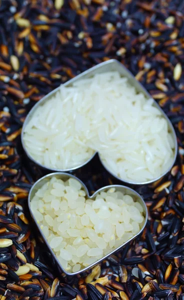 Zwarte en witte rijst — Stockfoto
