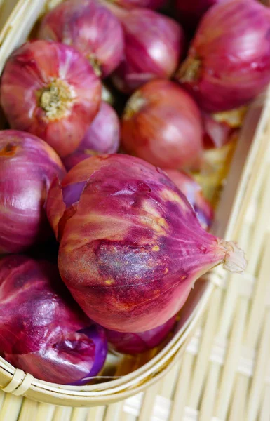 Červená cibule Allium Ascalonicum na koš bambus — Stock fotografie