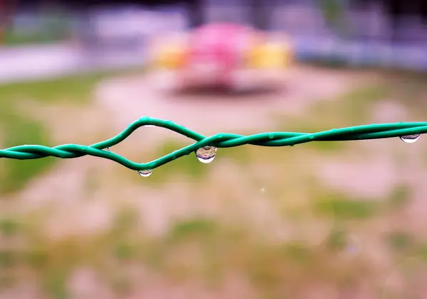 Krople deszczu na zielone linie — Zdjęcie stockowe