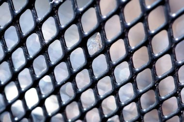 bicycle basket Background,texture