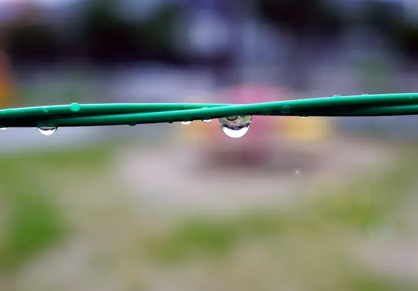 Σταγόνες βροχής σε ένα πράσινο σχοινί — Φωτογραφία Αρχείου