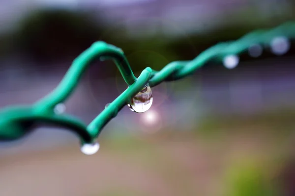 Rain drops on a green rope. — Stock Photo, Image