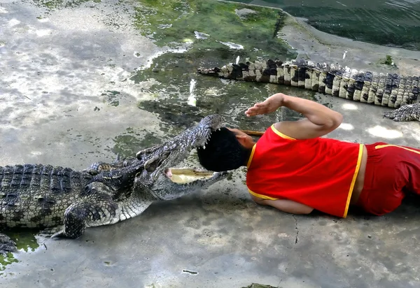 SAMUTPRAKARN, TAILANDIA - 26 de agosto: Un hombre estaba poniendo su cabeza i — Foto de Stock