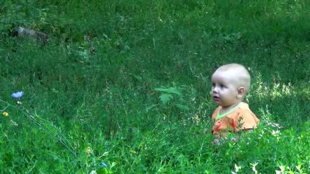 A little child on the grass in the park — Stock Video