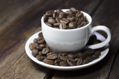  kahve kahverengi zemin üzerinde