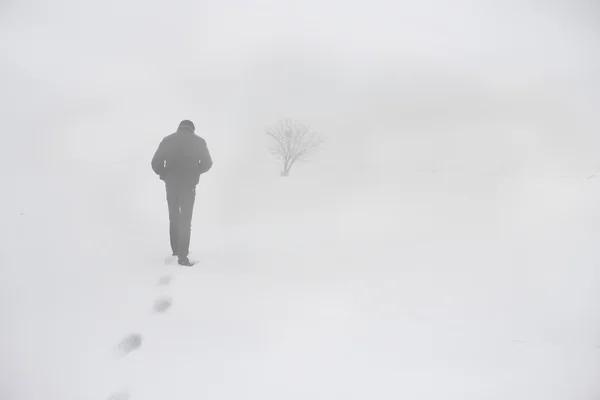 Man in snow — Stock Photo, Image