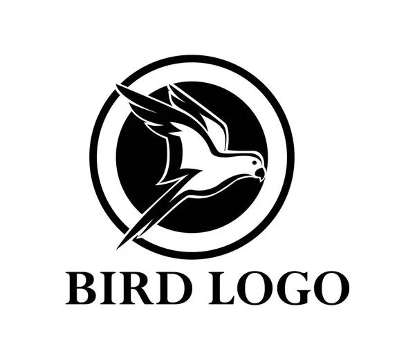 Logotipo Pássaro Círculo Modelo Vetor Logotipo — Fotografia de Stock