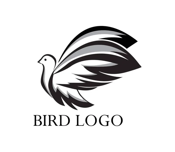 Flying Birds Logo Design Suitable Companies Logo Vector Template — Stock Photo, Image