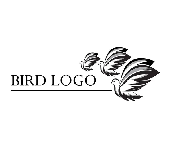 Diseño Del Logotipo Tres Aves Voladoras Adecuado Para Empresas Plantilla —  Fotos de Stock