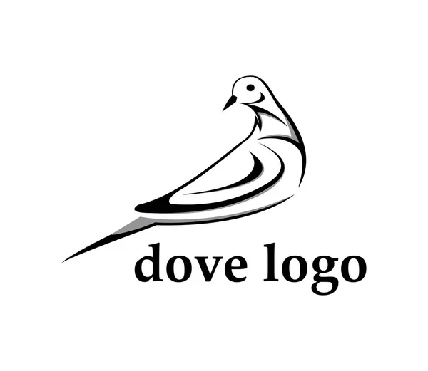 Voar Pomba Logotipo Design Ícone Vetor Modelo — Fotografia de Stock