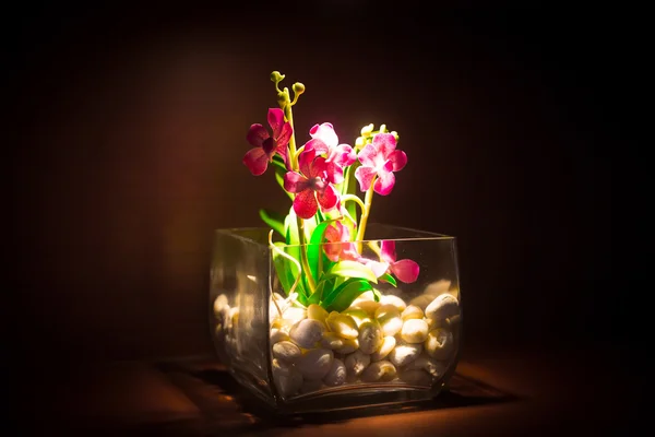 Orchidee in einer Glasvase Stockbild