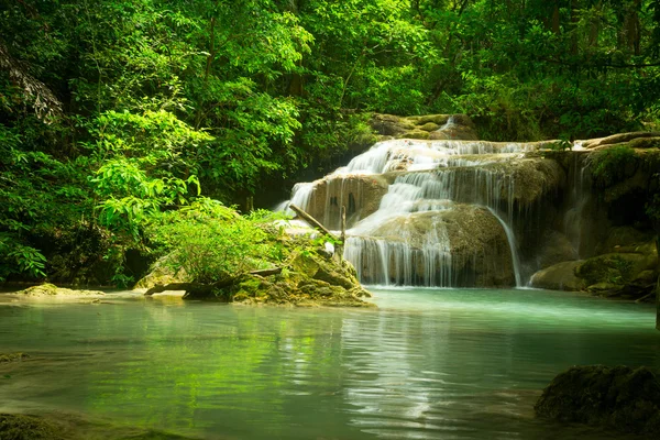 Ormanda şelale Stok Fotoğraf