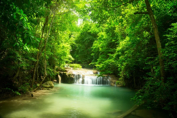 Kleiner Wasserfall im Dschungel Stockbild