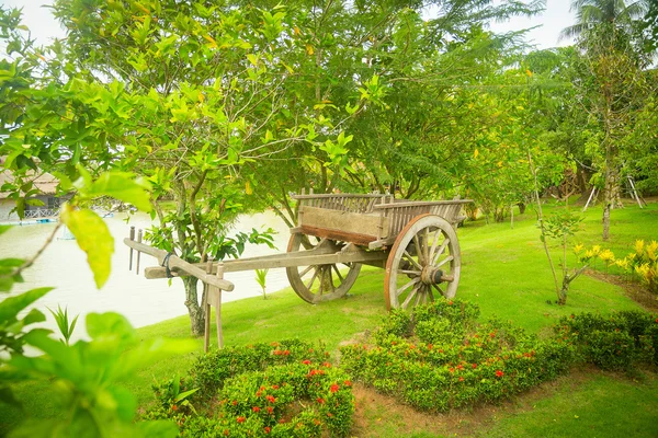 Yeşil bir parkta sepeti Telifsiz Stok Fotoğraflar