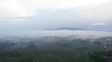 Sisli bir sabahta çevresindeki tepeler ve ormanlarla birlikte yemyeşil ağaçları olan köy ve tarım arazilerinin insansız hava aracı görüntüsü.