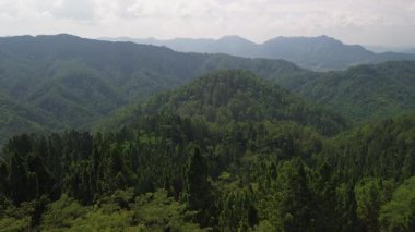 Karang Gemantung Taş Parkı 'nın hava aracı görüntüsü, Banjarnegara, Merkez Java, Endonezya. Tepelerin ortasındaki mercan kayaları, yemyeşil orman ve ağaçlarla çevrili..