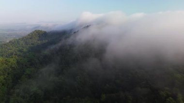 Banyumas, Central Java, Endonezya tepelerinde ormanı ve ağaçları kaplayan sabah sisinin hava aracı görüntüsü