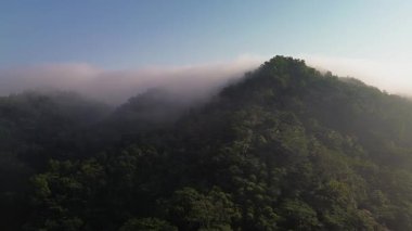 Aerial drone view of morning mist covering the forest and trees on the hills in Banyumas, Central Java, Indonesia