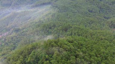 Aerial drone view of morning mist covering the forest and trees on the hills in Banyumas, Central Java, Indonesia