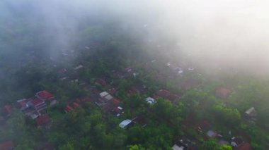 Ağaçlı, tarlalı, tepeli, sabah sisli kırsal arazi..