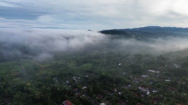 Ağaçlı, tarlalı, tepeli, sabah sisli kırsal arazi..