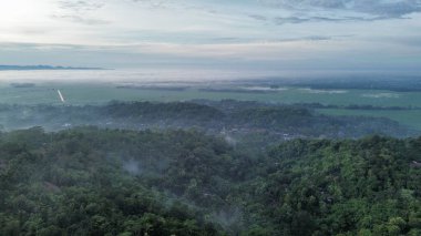 Ağaçlı, tarlalı, tepeli, sabah sisli kırsal arazi..