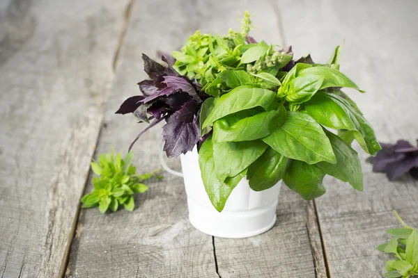 Fesleğen - baharat, ahşap arka plan üzerinde farklı çeşitleri