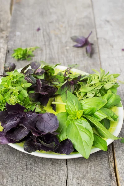 Basilicum - specerijen, verschillende varianten op een houten achtergrond — Stockfoto