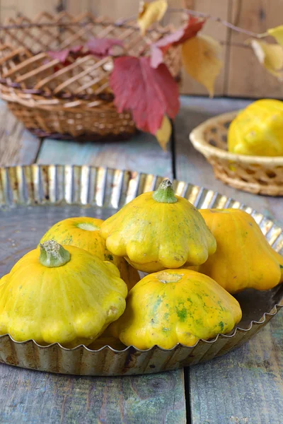 Bush pumpkins on a background of wooden boards — Stock Photo, Image
