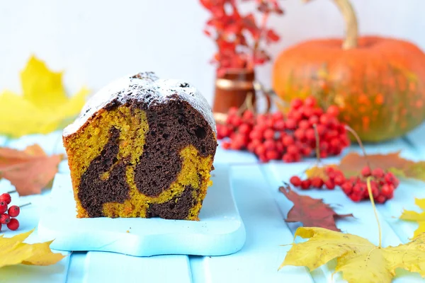 Pumpkin-chocolate cake — Stock Photo, Image