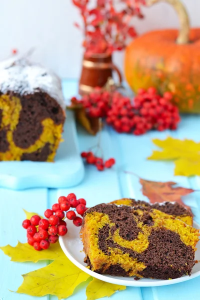 Pumpkin-chocolate cake — Stock Photo, Image