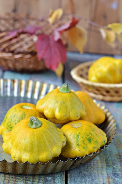 Bush pumpkins on a background of wooden boards — Stock Photo, Image