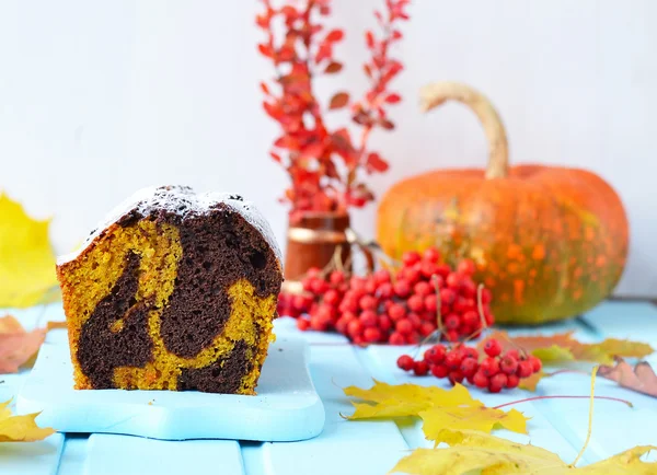 Pumpkin-chocolate cake — Stock Photo, Image