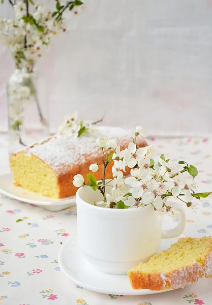 Cupcake με τυρί κότατζ — Φωτογραφία Αρχείου