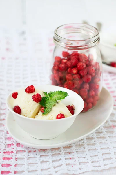 Vanilla ice cream with wild strawberry — Stok fotoğraf