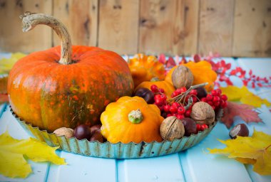 Sonbahar natürmort - kabak, kabak, kestane, ceviz, kül