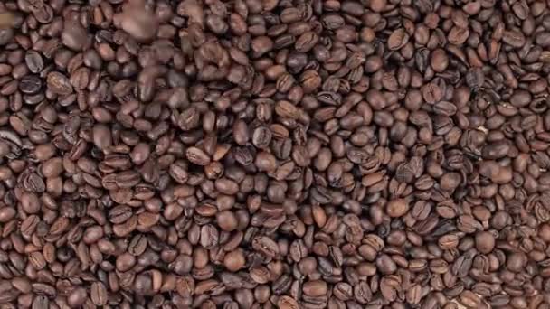 Mezcla Café Caliente Con Crema Leche Los Granos Café Fragantes — Vídeo de stock