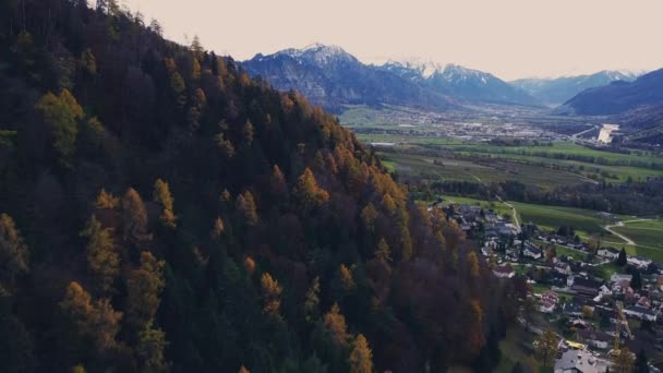 Marcher Lentement Sur Une Grande Jetée Bois Dans Lac Survoler — Video