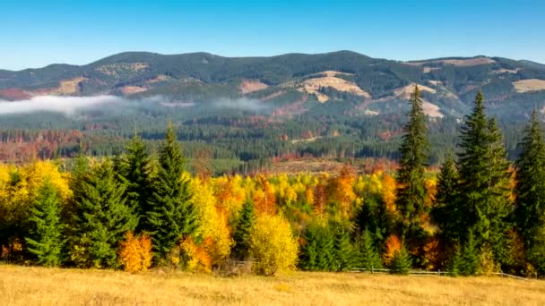 Slowly walking over a large wooden jetty into a lake and flying over the lake water. Turquoise water in a mountain forest lake with pine trees. Aerial view of blue lake and green forests lake. Beautiful autumn landscape in the autumn oak forest. — Stock Footage Slowly Walking Large Wooden Jetty Lake Flying Lake Water Turquoise Royalty Free Stock Footage