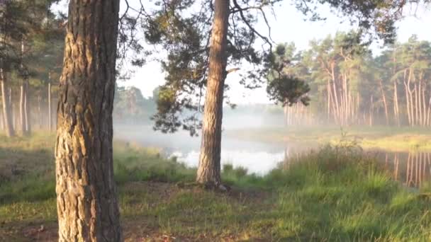 Powoli Przemierzając Duży Drewniany Pomost Jeziora Przelatując Nad Jeziorem Turkusowa — Wideo stockowe