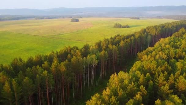 Медленно Переходя Через Большую Деревянную Пристань Озеро Пролетая Над Водой — стоковое видео