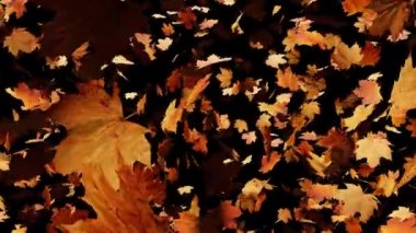 Yavaşça büyük ahşap bir iskelenin üzerinden göle doğru yürüyorlar ve göl suyunun üzerinde uçuyorlar. Bir dağ ormanı gölünde çam ağaçlarıyla birlikte turkuaz su. Mavi göl ve yeşil orman gölü havadan görünüyor. Sonbahar meşesi ormanında güzel sonbahar manzarası. 