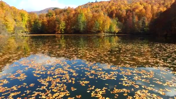 ゆっくりと湖に大きな木製の桟橋を歩いて 湖の水の上を飛んでいます 松の木と山の森の湖のターコイズブルーの水 青い湖と緑の森の湖の空中ビュー 秋の紅葉の絶景 オークの森 — ストック動画