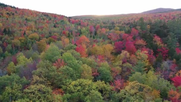 Marcher Lentement Sur Une Grande Jetée Bois Dans Lac Survoler — Video