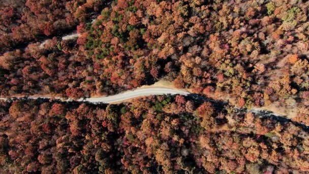 ゆっくりと湖に大きな木製の桟橋を歩いて 湖の水の上を飛んでいます 松の木と山の森の湖のターコイズブルーの水 青い湖と緑の森の湖の空中ビュー 秋の紅葉の絶景 オークの森 — ストック動画