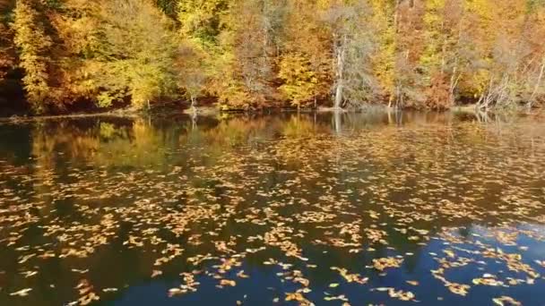 Marcher Lentement Sur Une Grande Jetée Bois Dans Lac Survoler — Video