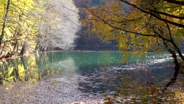 ゆっくりと湖に大きな木製の桟橋を歩いて 湖の水の上を飛んでいます 松の木と山の森の湖のターコイズブルーの水 青い湖と緑の森の湖の空中ビュー 秋の紅葉の絶景 オークの森 — ストック動画