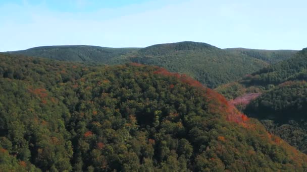 Slowly walking over a large wooden jetty into a lake and flying over the lake water. Turquoise water in a mountain forest lake with pine trees. Aerial view of blue lake and green forests lake. Beautiful autumn landscape in the autumn oak forest. — Stock Footage Slowly Walking Large Wooden Jetty Lake Flying Lake Water Turquoise Stock Video