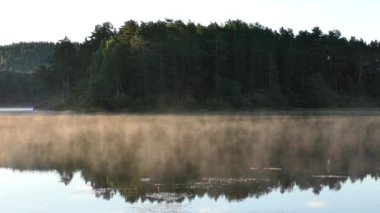 Yavaşça büyük ahşap bir iskelenin üzerinden göle doğru yürüyorlar ve göl suyunun üzerinde uçuyorlar. Bir dağ ormanı gölünde çam ağaçlarıyla birlikte turkuaz su. Mavi göl ve yeşil orman gölü havadan görünüyor.. 